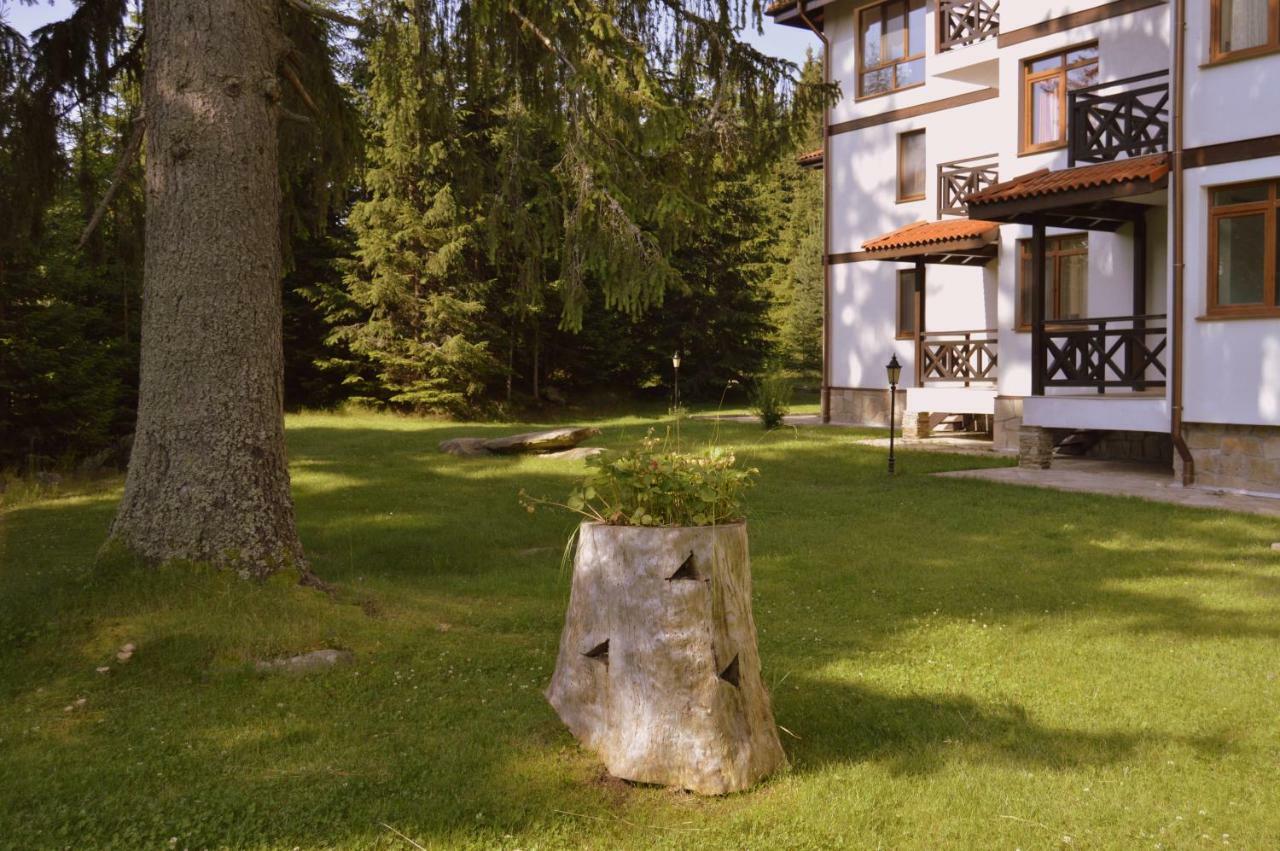 Northstar Ski Apartment In Mountain Lake Hotel Pamporovo Esterno foto